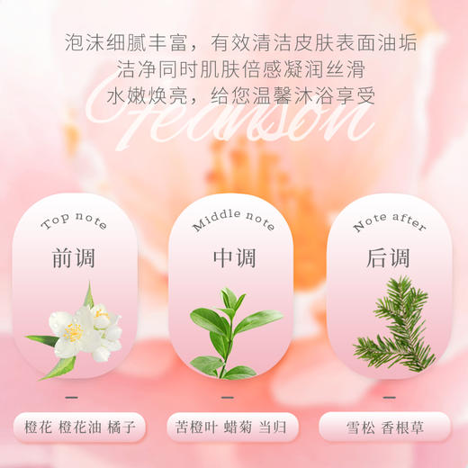菲小主经典亲肤沐浴露500ml/瓶 商品图1