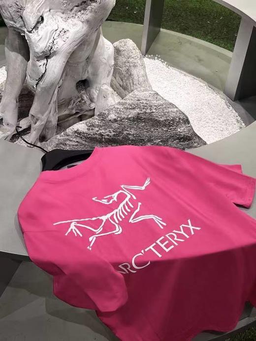 特调梅子色鸟家水洗纯棉短袖裙T 商品图9