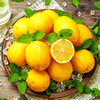【分仓直发包邮】安岳黄柠檬1斤小果（单果50-80g） 商品缩略图5