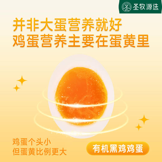 【超模君严选 通过30项检测】圣牧源选 自然慢养有机鸡蛋 30枚 随产随发顺丰包邮破损包赔 无沙门氏菌 有机谷饲口感更鲜嫩 商品图1
