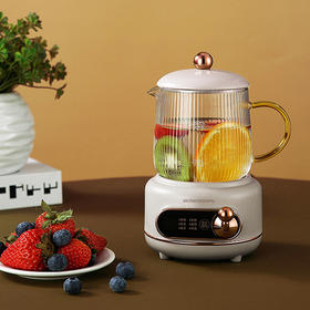 厨创妈咪电炖杯_YSSM05B01【K】