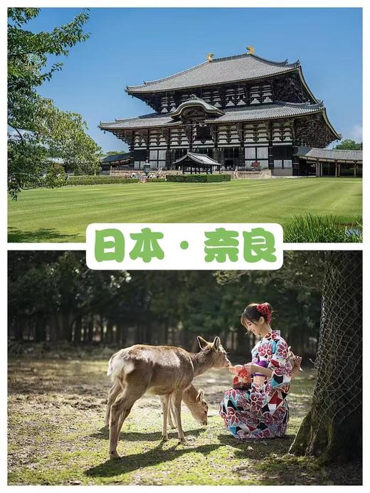 【享游日本・紫藤瀑】东进阪出/七天往返 商品图8