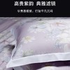 10楼堂皇    繁花春意全棉印花四件套  吊牌价1790-1990元  活动价399元（大小同价） 商品缩略图8