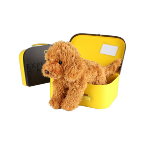 国家地理 毛绒玩具动物玩偶 拉布拉多贵宾犬10.5英寸礼盒版