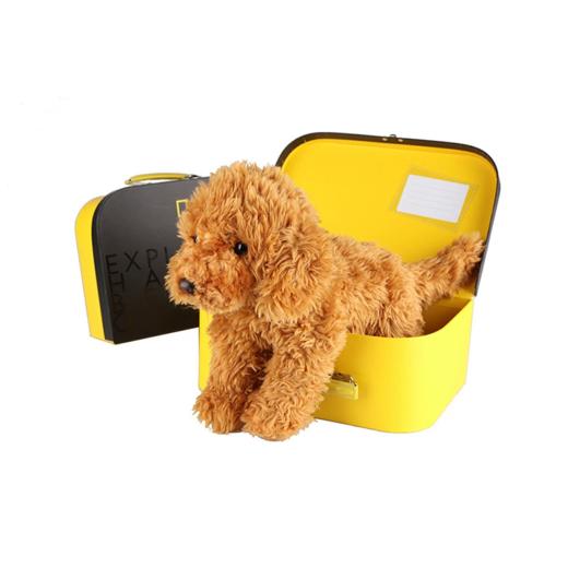 国家地理 毛绒玩具动物玩偶 拉布拉多贵宾犬10.5英寸礼盒版 商品图0