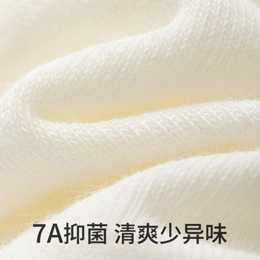 【毛爸】副歌袜子女士春夏季7A抗菌苎麻天然抑菌纯色百搭男女同款中筒袜 商品图9