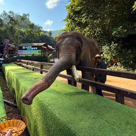 西双版纳双飞5日游 热带雨林深度纯玩游精品团 体验云南美食 打卡傣族换装秀