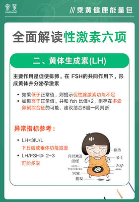 3月第3期