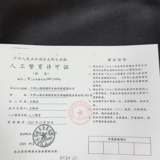 海马2只装（约1.5克） 商品图3