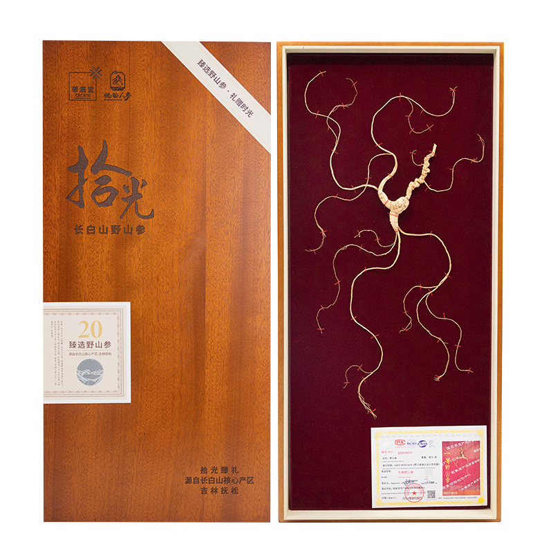 【央企品牌】华润野山参  一等(20年参)