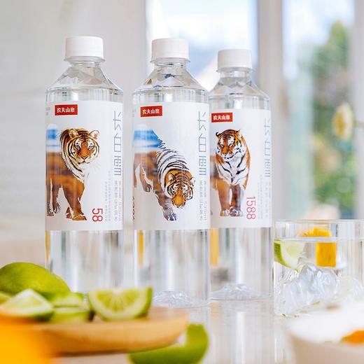 农夫山泉长白雪矿泉水 535ml 商品图3