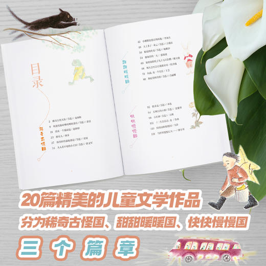 大人看不见的小王国:第三届接力杯金波幼儿文学奖美文悦读 商品图3