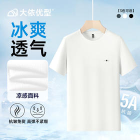 【冰丝弹力】【DDP】大依优型大码短袖T恤休闲透气半袖夏季上衣胖子加肥加大