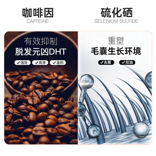 【海豚美购】赛逸selsun【新旧版本随机发】 固发丰盈橙瓶洗发水200ml 商品图4