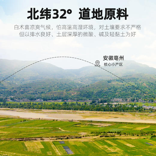 【杞里香圆罐白术片250g】当季新货 自热生晒 切片完整 严格挑选 厚薄均匀 可搭配黄芪、茯苓食用 商品图2