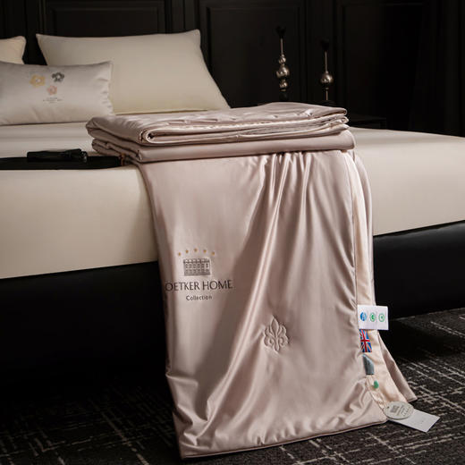 热卖中！！【英国百年品牌】欧特家·OETKER七星级酒店 冰锦丝抗菌水光被（下单72小时内发货！） 商品图13