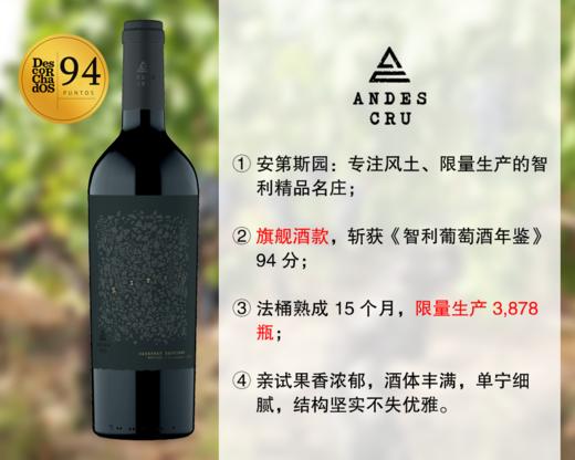 【现货特促，整箱更优惠】智利精品名庄：安第斯园西图斯赤霞珠旗舰干红（2021年） 商品图0