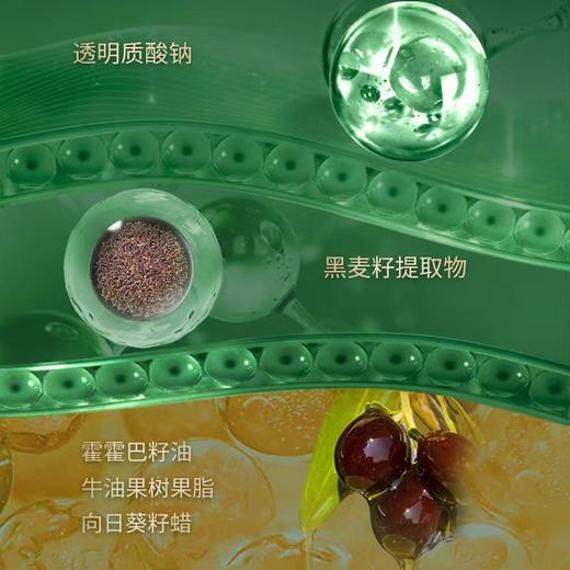 黛宜菲焕能时光精华霜 50g*瓶 商品图3