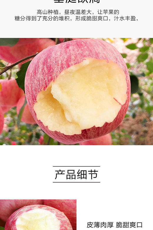 XX巴东红富士苹果 商品图2