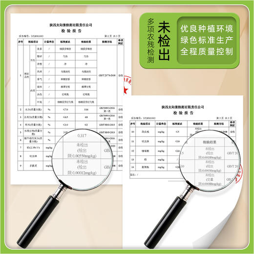 春茶上新 2025汉中红茶罐装 商品图3