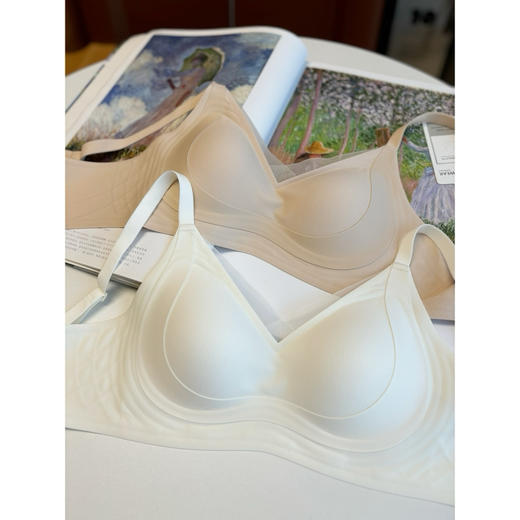 2503406    董洁同款 网纱文胸 夏季内衣 商品图4