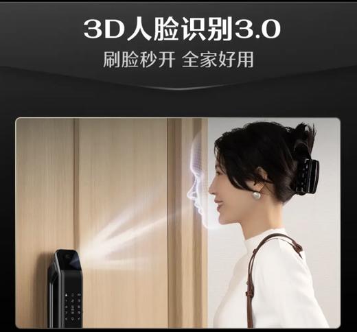 德施曼智能锁德施曼Q3F Pro 人脸识别 商品图1