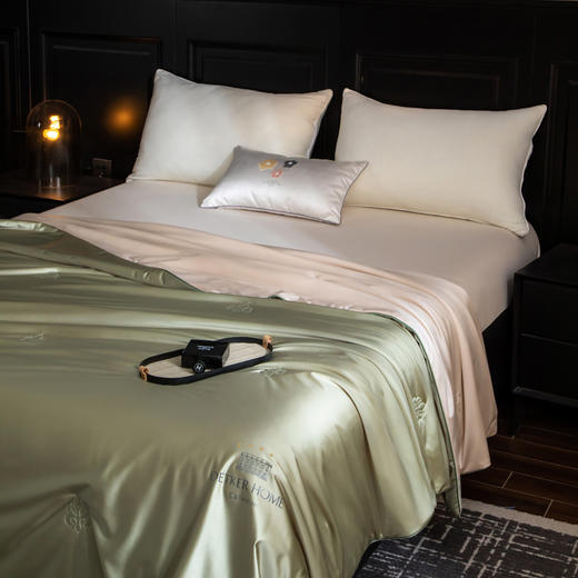 热卖中！！【英国百年品牌】欧特家·OETKER七星级酒店 冰锦丝抗菌水光被（下单72小时内发货！） 商品图1