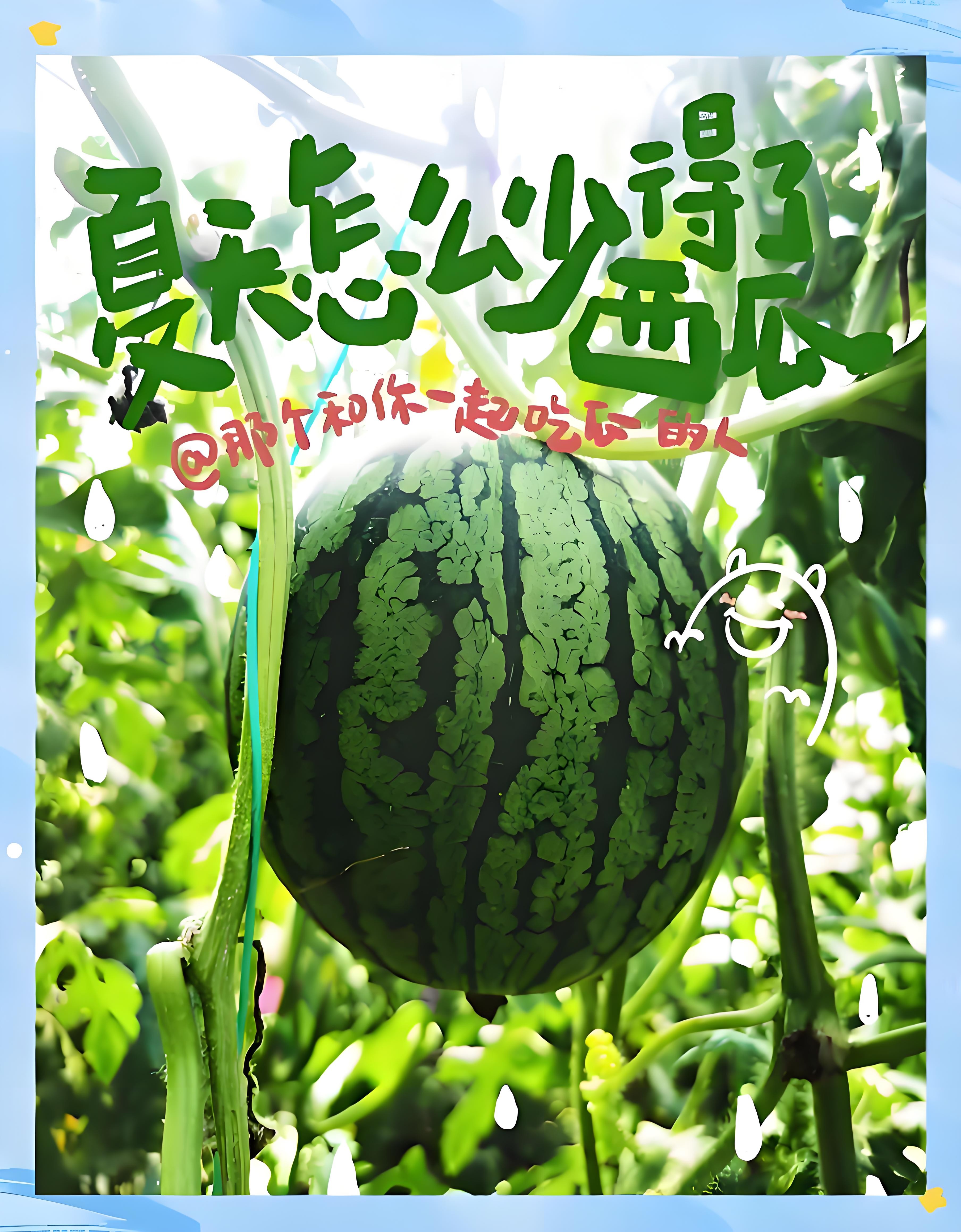 庞各庄西瓜【京津冀包邮】