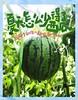 庞各庄西瓜【京津冀包邮】 商品缩略图0