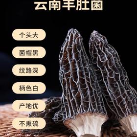 羊肚菌（中个4-5厘米）100G