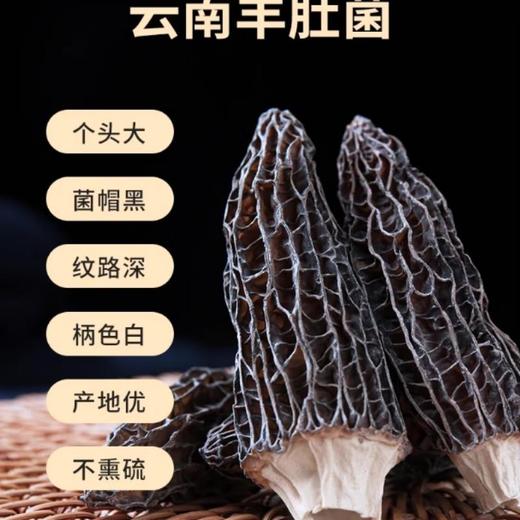 羊肚菌（中个4-5厘米）100G 商品图0