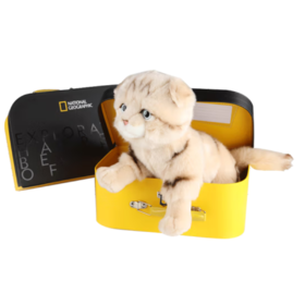 国家地理 毛绒玩具动物玩偶 苏格兰折耳猫10.5英寸礼盒版