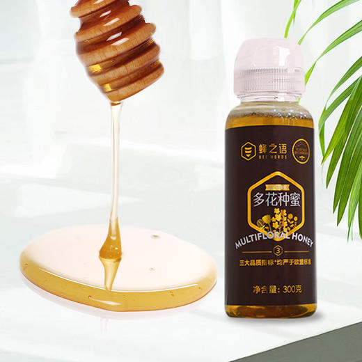 蜂之语42°甄多花种蜜300克 商品图1