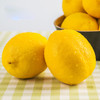 【分仓直发包邮】安岳黄柠檬1斤小果（单果50-80g） 商品缩略图3