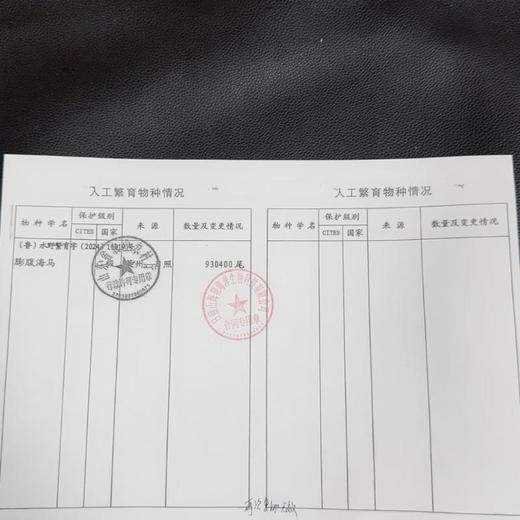 海马2只装（约1.5克） 商品图2