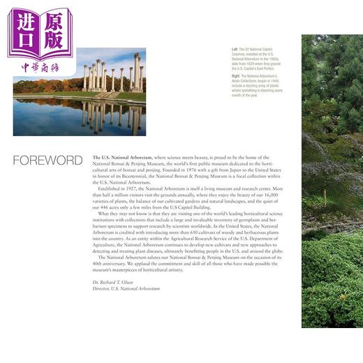 【中商原版】Bonsai and Penjing 进口艺术 盆景 和平与美丽的大使 商品图2