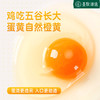 【超模君严选 通过30项检测】圣牧源选 自然慢养有机鸡蛋 30枚 随产随发顺丰包邮破损包赔 无沙门氏菌 有机谷饲口感更鲜嫩 商品缩略图2