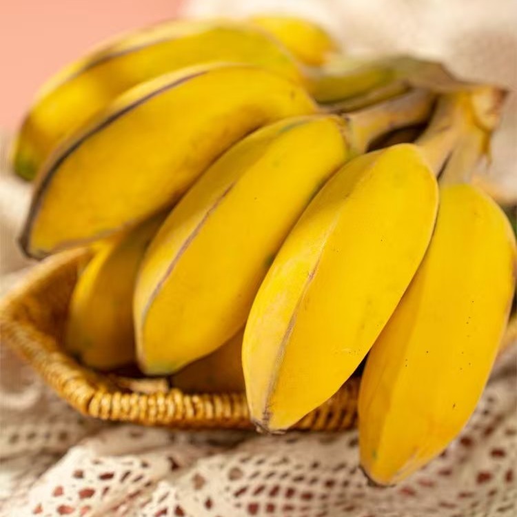 【果蔬精选】福建生态苹果蕉 真正树上自然成熟 无添加保鲜剂 小巧饱满 色泽诱人 香甜软糯 口感细腻