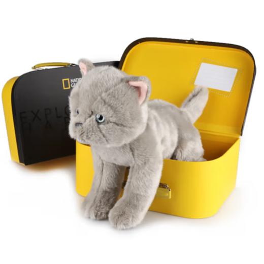 国家地理 毛绒玩具动物玩偶 英国短毛猫10.5英寸礼盒版 商品图0