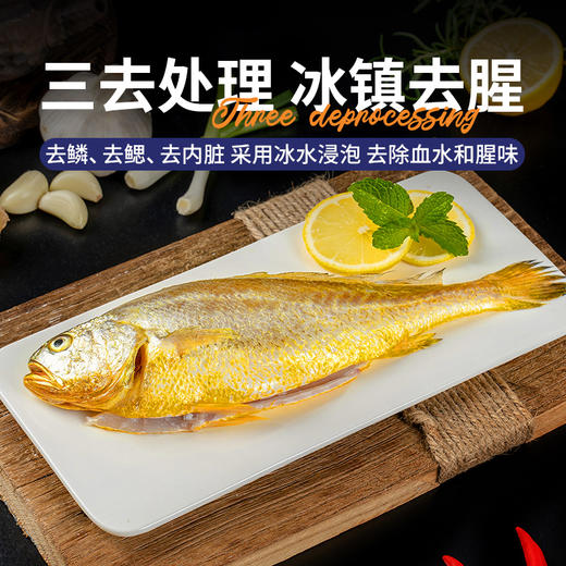 三都港三去黄花鱼1300g（约430-480g*3条）宁德正宗大黄鱼新鲜 商品图1