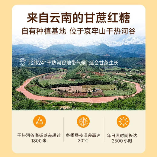 【下单后48小时发货】云耕物作 红糖姜茶180g*2盒 商品图2