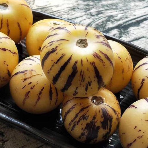 【分仓直发包邮】云南石林人参果（圆果）3斤中果（约15-25个） 商品图2