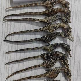 海马2只装（约1.5克）