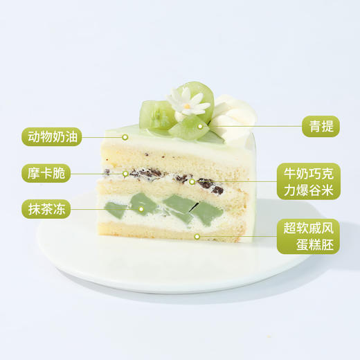 【6英寸下午茶2选1】多肉榴莲椰奶冻/伯牙绝弦下午茶 (新人专区) 商品图4