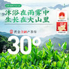 【非遗工艺】茶马世家恩施玉露游龙系2025早春新茶高端礼盒108g 商品缩略图1