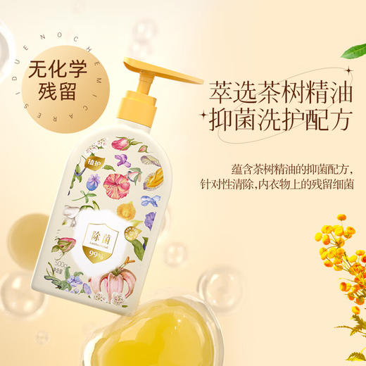 【分仓直发包邮】植护内衣除菌洗涤液500g/瓶 商品图1