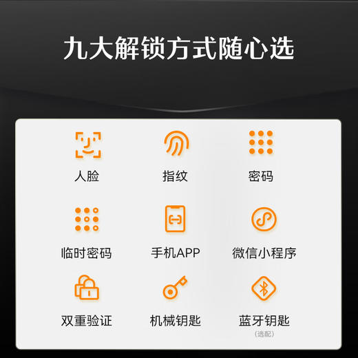 德施曼智能锁德施曼小嘀Q2FD 商品图8