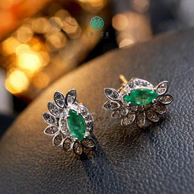 DS925祖母绿耳坠-祖母绿耳钉约11*8mm#