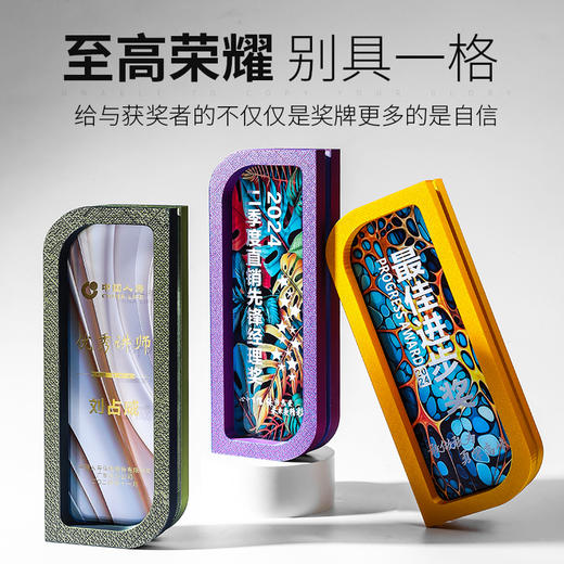 2025新款创意高档大气水晶奖杯定制定做优秀员工团队年会高端奖牌 商品图1