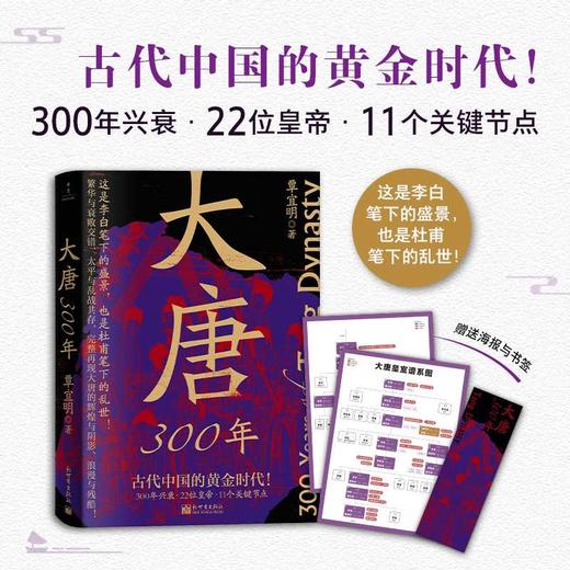 大唐300年 商品图0